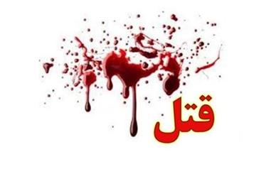 قتل زن و شوهر ایرانی در آمریکا با گلوله