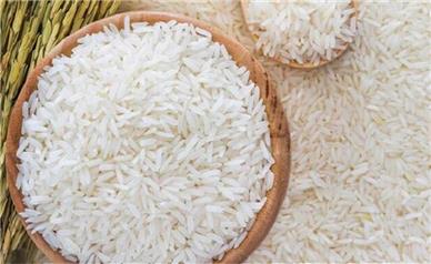قیمت برنج ایرانی نصف شد؟!/ برای حفظ تعادل در بازار برنج باید ۸۰۰ هزار تن برنج وارد کشور شود