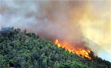 آتش سوزی عرصه‌های طبیعی در ۵ شهرستان گیلان/ حدود ۸۰هکتار در آتش سوخت