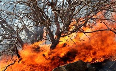 آسیب آتش‌سوزی به جنگل های زاگرس/۳۰۰ هکتار دو روزه در آتش سوخت