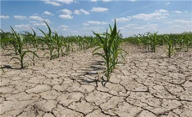 تشدید خشکسالی در ایران از ۳۰ سال قبل