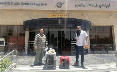 ۲ توله خرس سیاه بلوچی برای درمان به تهران منتقل شدند