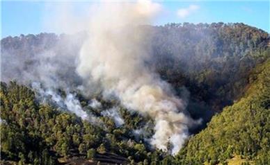 آتش‌سوزی جنگل‌های مریوان برای سومین روز متوالی/ عکس