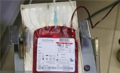 اهدای یک میلیون و ۸۸۸ هزار سی‌سی خون در دهه اول‌محرم
