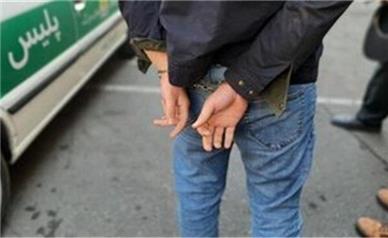 بازداشت مدیران ۲ صفحه اینستاگرامی در تهران
