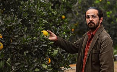 «جنگل پرتقال» شکافی میان سینمای کمدی و اجتماعی