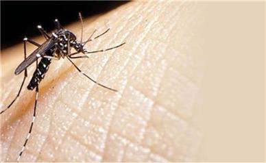 شناسایی ‌دو مبتلا به مالاریا در اهواز