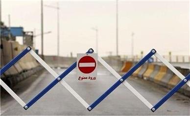 محدودیت ترافیکی در جاده چالوس به‌دلیل عبور احشام