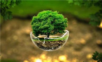 امضای خاص فولاد سنگان در اقدامات محیط زیستی