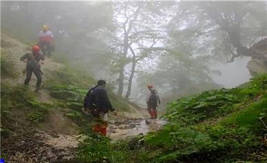 مفقود شدن گردشگران در جنگل نور مازندران