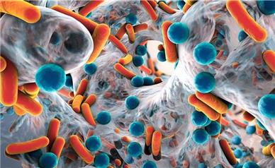 طراحی نانوآنتی‌بیوتیک‌ برای درمانِ عفونت‌های باکتریایی