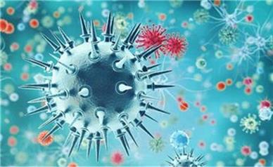 آخرین وضعیت آنفولانزا در ایران/ پیک بعدی آنفلوآنزا چه زمانی است؟