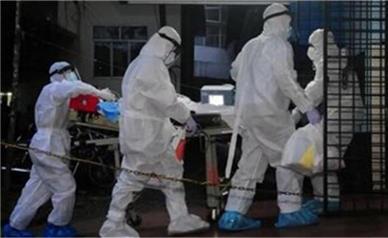 ویروس «نیپا» چیست و چقدر باید نگران آن باشیم؟