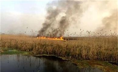 هشدار برای  تکرار آتش‌سوزی‌های یک تالاب در تابستان پیش رو
