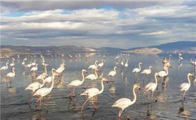 نگرانی برای آینده این تالاب