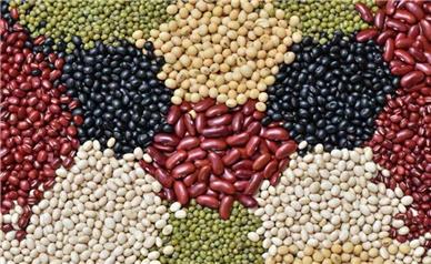 جزئیات جدید از قیمت حبوبات در بازار