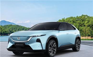 وکالتی‌کردن حساب‌ها در مؤسسه اعتباری ملل آغاز شد