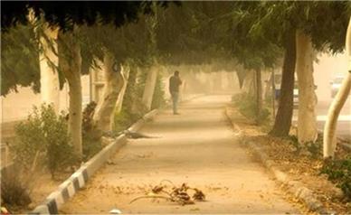 آمار مصدومان طوفان شب گذشته در تهران