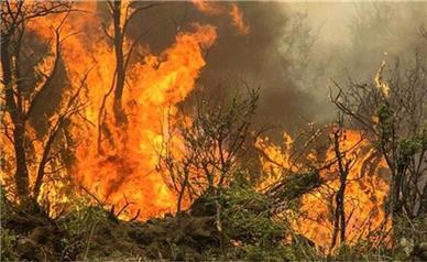 خطر آتش‌سوزی در جنگل‌های ایلام/ عروس زاگرس در تابستان می‌سوزد؟!