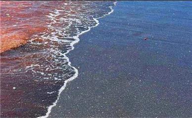 ساحل نقره‌ایِ جزیره هرمز سر جایش برگشت؟