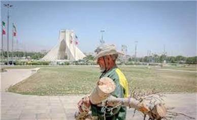 ماجرای قطع درختان میدان آزادی چه بود؟