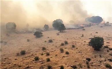 ارتفاعات جنگلی دالاهو کرمانشاه آتش گرفت/ مهار حریق