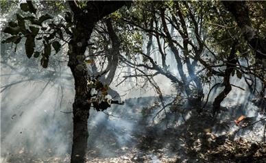 آتش‌سوزی در جنگل گلستان مهار شد