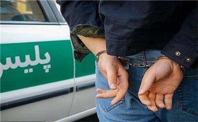 سارقان کشور شناسنامه‌دار می‌شوند