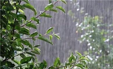 هشدار: بارش‌های سیل‌آسا در گیلان و مازندران