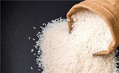 افزایش قیمت برنج در شرایط فعلی قابل قبول نیست