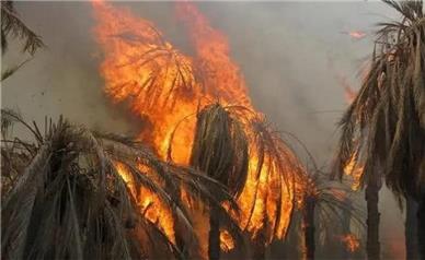 تکرار کابوس ۹۷ و ۹۸ در خوزستان / آیا این استان دوباره قربانی سوءمدیریت آبی می‌شود؟