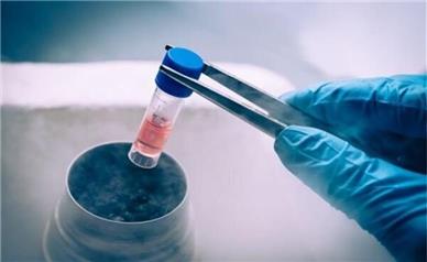 پاسخ دانشگاه علوم پزشکی ایران به ادعای «گم شدن جنین‌ها»