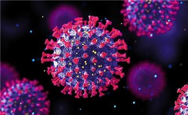 روش‌های انتقال ویروس HPV/ تزریق واکسن کافی نیست