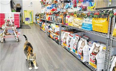 کشف مار و عقرب از یک پت شاپ در تهران