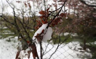 پاییز سخت و زمستان پُربار در انتظار مردم ایران