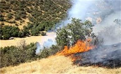 پوشش گیاهی منطقه دماوند سوخت؟!