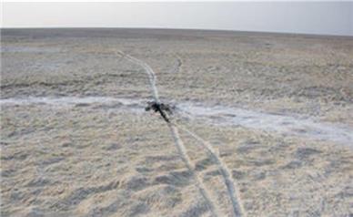 نیمی از تالاب شادگان خشک شده است