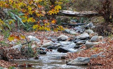 آیا مقایسه اقلیمی ایران با همسایگان درست است؟