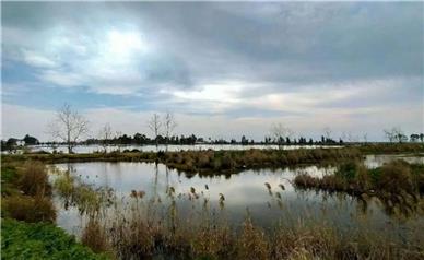 ۹۰ درصد منابع آبی ایران، به بخش کشاورزی اختصاص می‌یابد