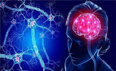 ۹ عادت قدرتمند برای سلامت مغز