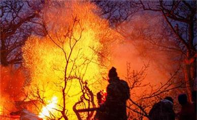 رییس محیط زیست: آتش‌سوزی الیت چالوس ۲۰ روزه نبوده