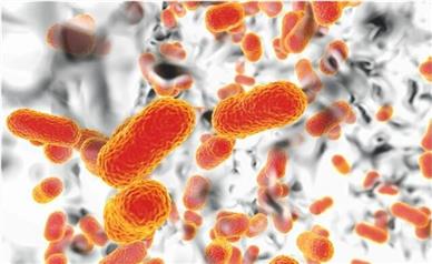 تبعات مرگبار مقاومت میکروبی