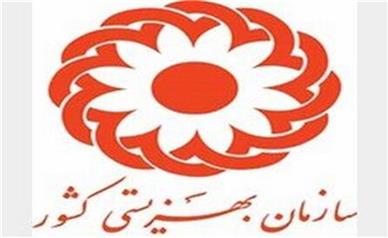 افزایش یارانه سازمان بهزیستی در دستور کار