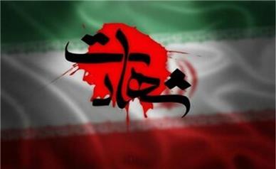 شهادت اعضای خانواده یک محیط بان در حمله آمریکا