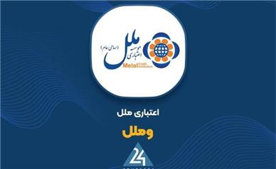 شفاف‌سازی «وملل» در خصوص کاهش ۵۲ درصدی زیان خالص