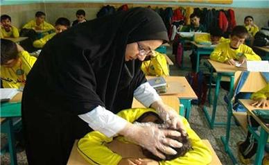 آمار تکان‌دهنده از شیوع شپش در کشور؛ ۷۸ درصد مبتلایان دانش‌آموز هستند