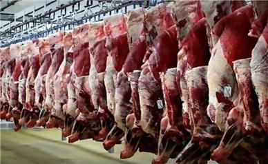 هیچ مجوزی برای کشتار و عرضه گوشت اسب، قاطر و الاغ صادر نشده است