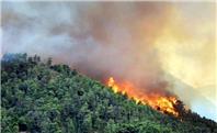 نگاهی به حریق پنج روزه: ۴۰ هکتار از جنگل های هیرکانی زیر دود آتش