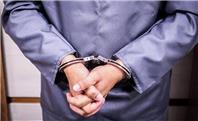 دستگیری سارق سریالی زنان با ترفند آگهی جعلی مدلینگ + فیلم
