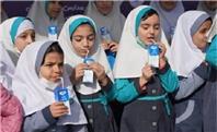 توزیع شیر در مدارس از آبان ماه